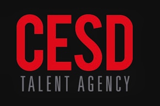 Online TV/Film Masterclass w/ Top Agent of CESD Agency